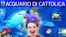acquario-cattolica